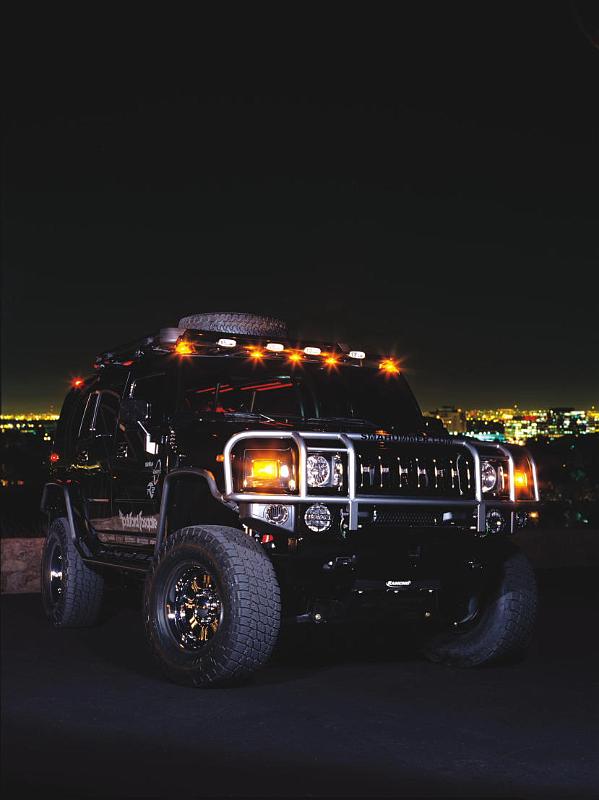 Hummer_36.JPG