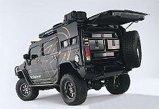 Hummer_31