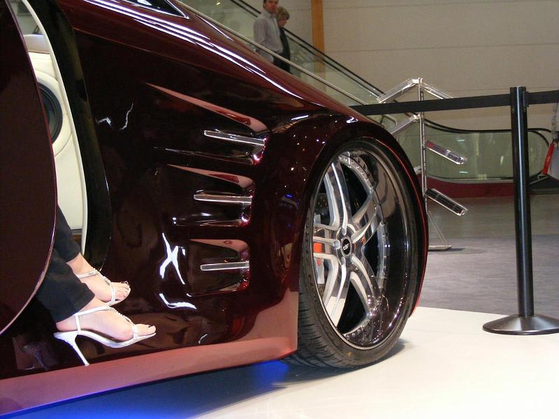 Sinsheim_2008_004.JPG