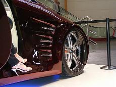 Sinsheim_2008_004