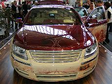 Sinsheim_2008_054