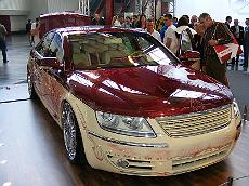Sinsheim_2008_056