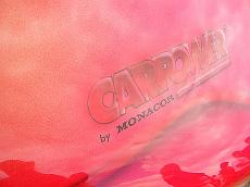 Auto_Muzyka_2008_080