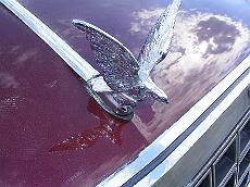 OldAmerican_czerwiec_2008_45