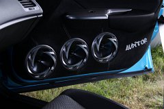 VW_Mania_2010_1285